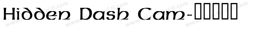 Hidden Dash Cam字体转换